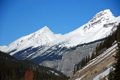 12 Cirrus Mountain From Icefields Parkway.jpg